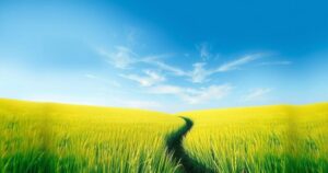 A serene landscape of South Sudan featuring lush grass and a clear blue sky, symbolizing hope and resilience.