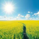 A serene landscape with a lush green field and a clear blue sky, symbolizing resilience and hope for the future.