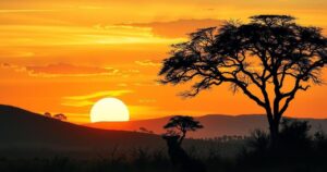 A warm sunset over a serene African landscape with silhouettes of trees and mountains in soft earthy colors.